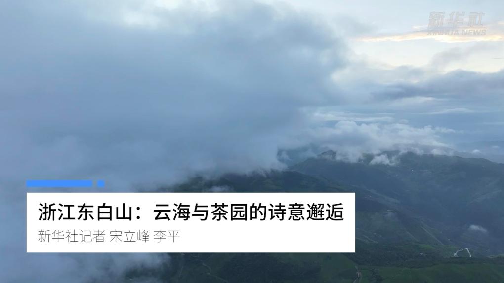 浙江东白山：云海与茶园的诗意邂逅